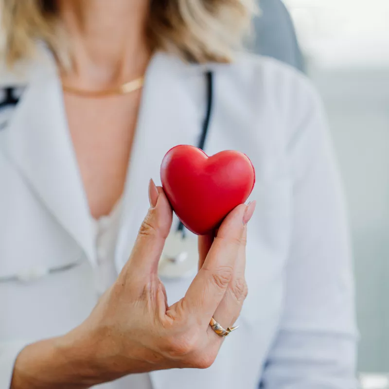 Doctor holding a red heart